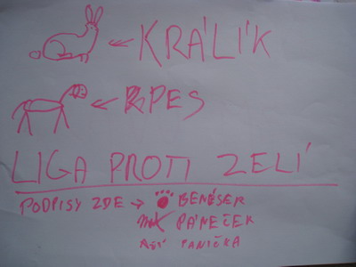 Petice